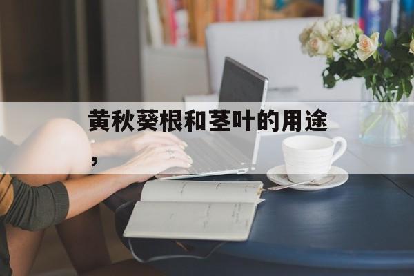 黄秋葵根和茎叶的用途，-第1张图片-