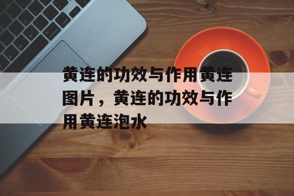 黄连的功效与作用黄连图片，黄连的功效与作用黄连泡水-第1张图片-