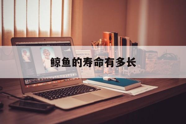 鲸鱼的寿命有多长-第1张图片-