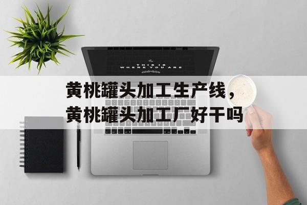 黄桃罐头加工生产线，黄桃罐头加工厂好干吗-第1张图片-