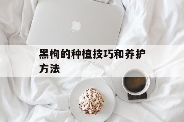 黑枸的种植技巧和养护方法-第1张图片-