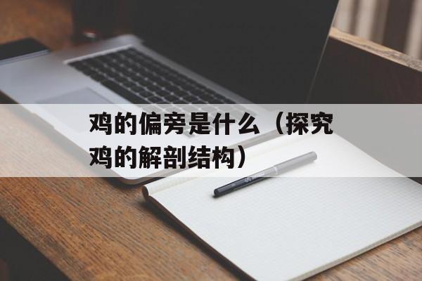 鸡的偏旁是什么（探究鸡的解剖结构）-第1张图片-
