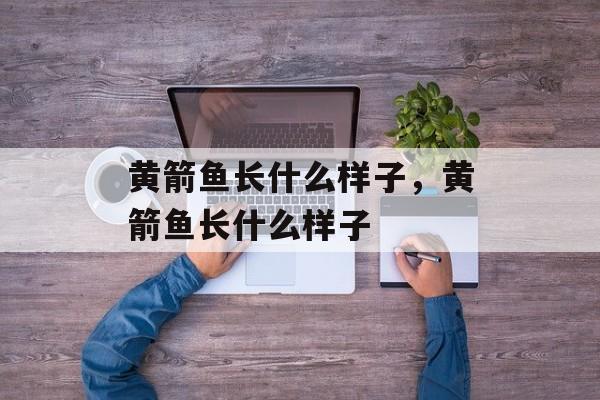 黄箭鱼长什么样子，黄箭鱼长什么样子-第1张图片-