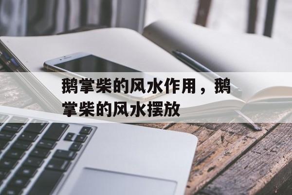 鹅掌柴的风水作用，鹅掌柴的风水摆放-第1张图片-