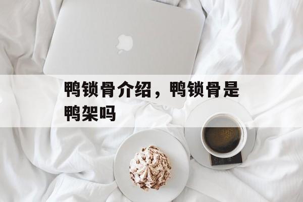 鸭锁骨介绍，鸭锁骨是鸭架吗-第1张图片-
