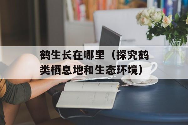 鹤生长在哪里（探究鹤类栖息地和生态环境）-第1张图片-