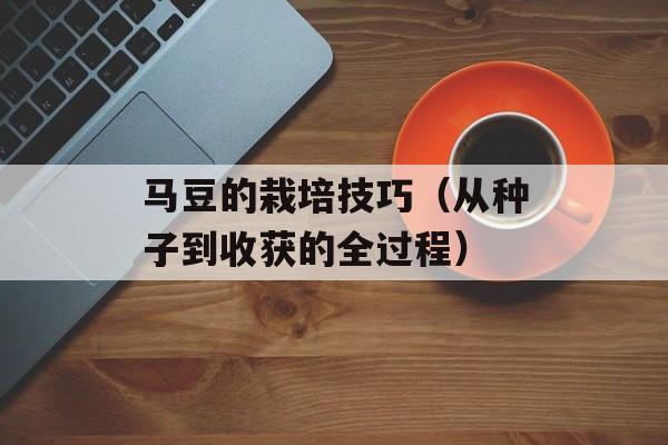 马豆的栽培技巧（从种子到收获的全过程）-第1张图片-