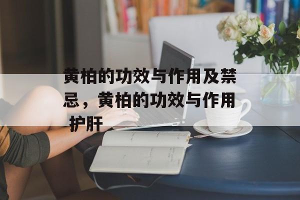 黄柏的功效与作用及禁忌，黄柏的功效与作用 护肝-第1张图片-