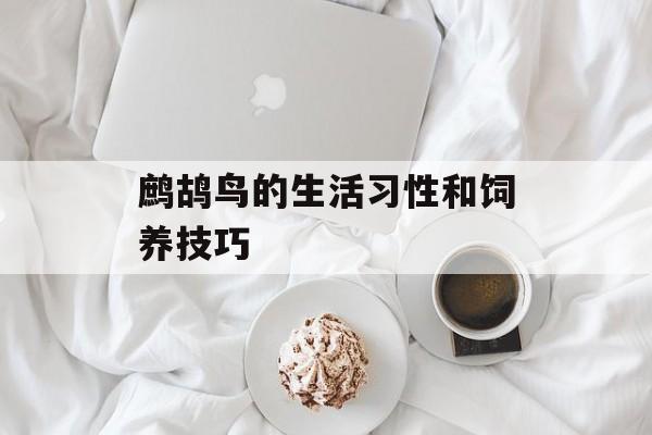 鹧鸪鸟的生活习性和饲养技巧-第1张图片-