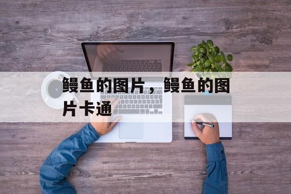 鳗鱼的图片，鳗鱼的图片卡通-第1张图片-