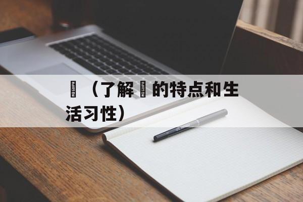鲗（了解鲗的特点和生活习性）-第1张图片-
