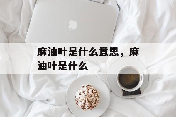麻油叶是什么意思，麻油叶是什么-第1张图片-