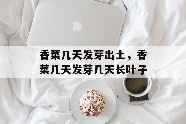 香菜几天发芽出土，香菜几天发芽几天长叶子-第1张图片-