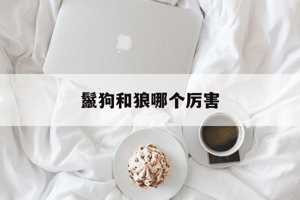 鬣狗和狼哪个厉害-第1张图片-