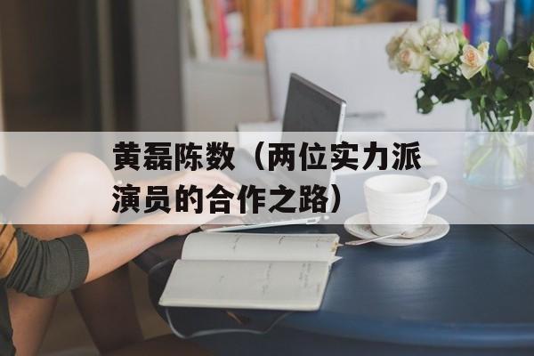 黄磊陈数（两位实力派演员的合作之路）-第1张图片-