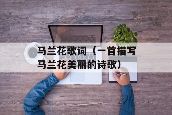马兰花歌词（一首描写马兰花美丽的诗歌）-第1张图片-