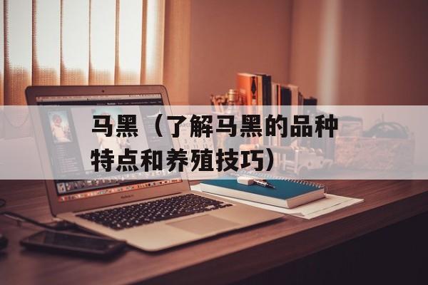马黑（了解马黑的品种特点和养殖技巧）-第1张图片-