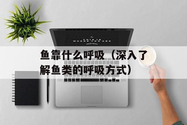 鱼靠什么呼吸（深入了解鱼类的呼吸方式）-第1张图片-