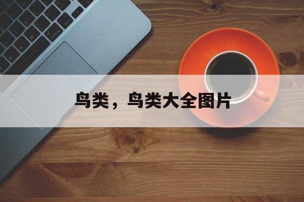 鸟类，鸟类大全图片-第1张图片-