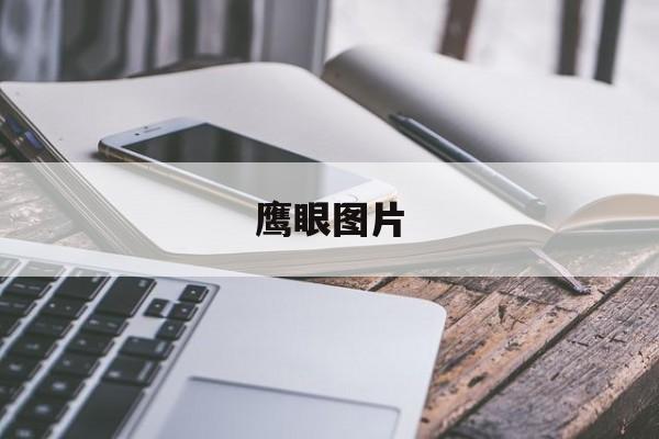鹰眼图片-第1张图片-