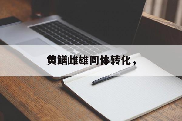 黄鳝雌雄同体转化，-第1张图片-