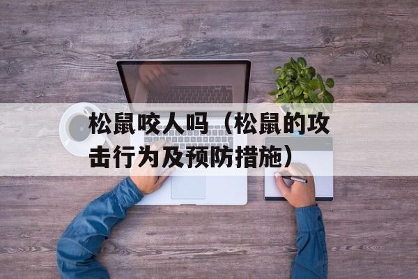 松鼠咬人吗（松鼠的攻击行为及预防措施）-第1张图片-