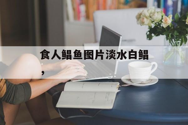 食人鲳鱼图片淡水白鲳，-第1张图片-