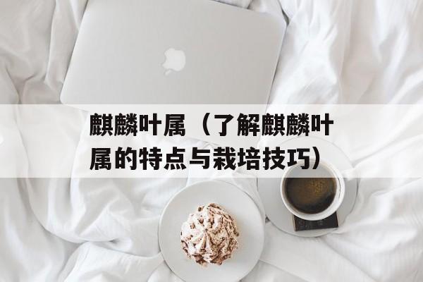 麒麟叶属（了解麒麟叶属的特点与栽培技巧）-第1张图片-