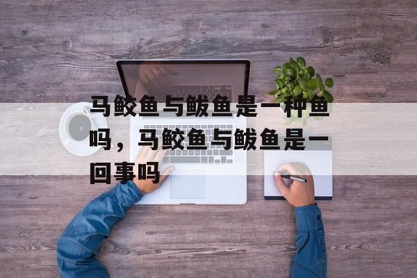 马鲛鱼与鲅鱼是一种鱼吗，马鲛鱼与鲅鱼是一回事吗-第1张图片-