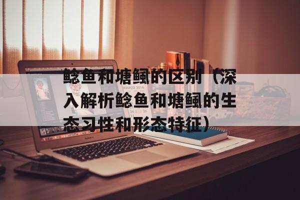 鲶鱼和塘鲺的区别（深入解析鲶鱼和塘鲺的生态习性和形态特征）-第1张图片-