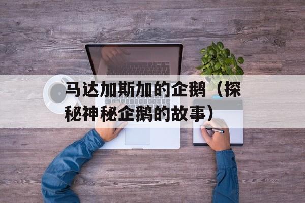 马达加斯加的企鹅（探秘神秘企鹅的故事）-第1张图片-
