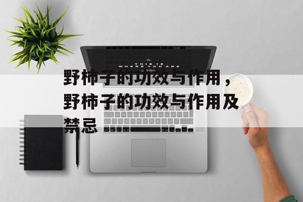 野柿子的功效与作用，野柿子的功效与作用及禁忌-第1张图片-