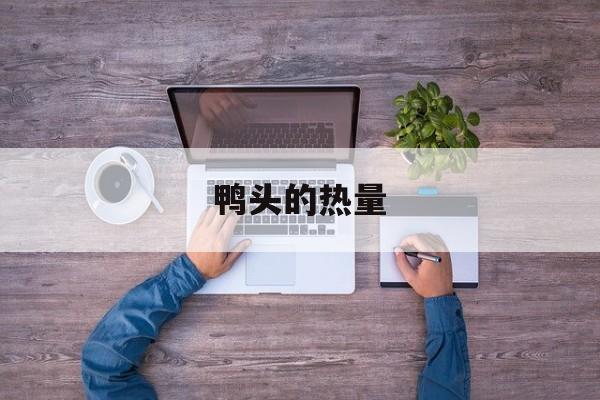 鸭头的热量-第1张图片-