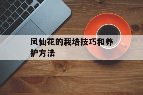 风仙花的栽培技巧和养护方法-第1张图片-