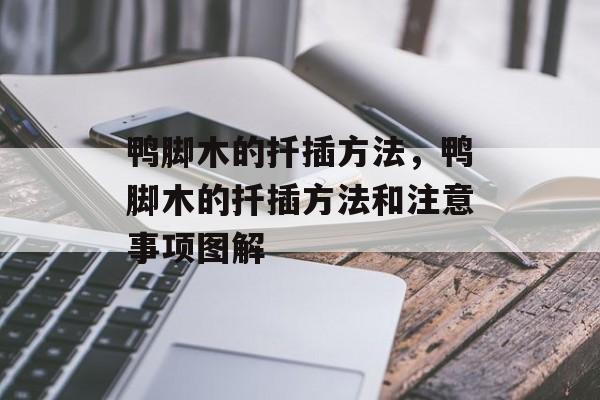 鸭脚木的扦插方法，鸭脚木的扦插方法和注意事项图解-第1张图片-