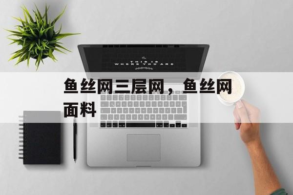 鱼丝网三层网，鱼丝网面料-第1张图片-