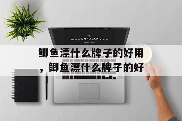 鲫鱼漂什么牌子的好用，鲫鱼漂什么牌子的好-第1张图片-