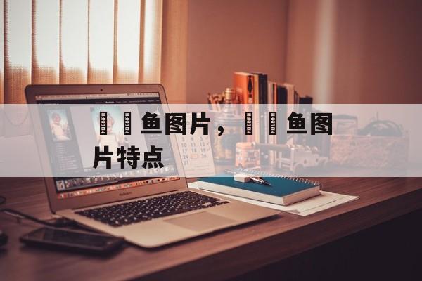 鳑鲏鱼图片，鳑鲏鱼图片特点-第1张图片-