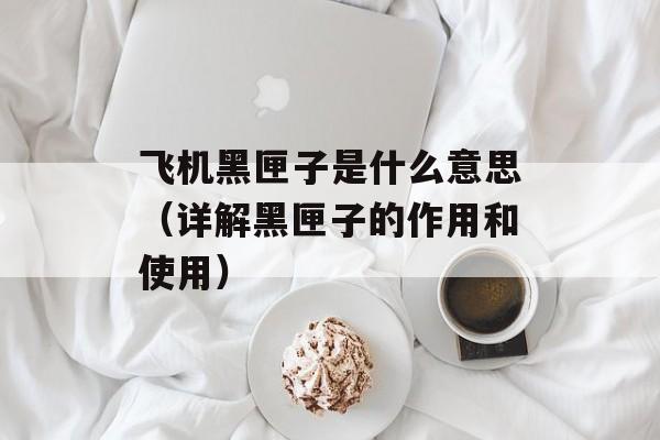 飞机黑匣子是什么意思（详解黑匣子的作用和使用）-第1张图片-