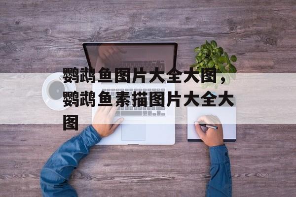 鹦鹉鱼图片大全大图，鹦鹉鱼素描图片大全大图-第1张图片-