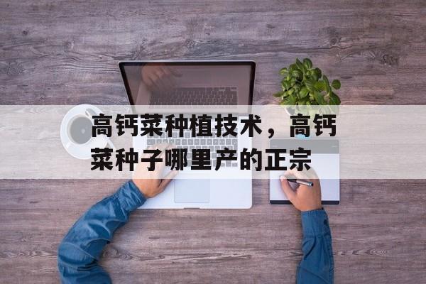 高钙菜种植技术，高钙菜种子哪里产的正宗-第1张图片-