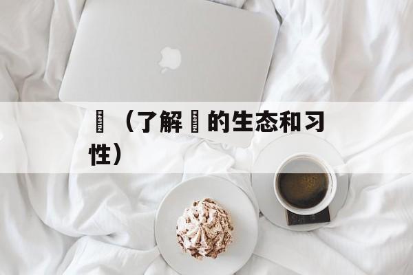 鱥（了解鱥的生态和习性）-第1张图片-