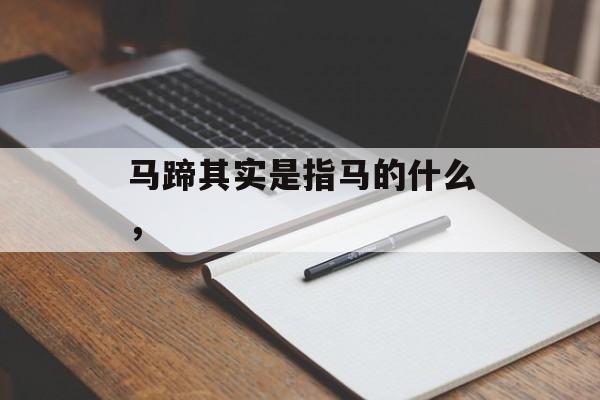 马蹄其实是指马的什么，-第1张图片-