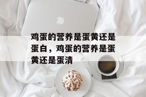 鸡蛋的营养是蛋黄还是蛋白，鸡蛋的营养是蛋黄还是蛋清-第1张图片-