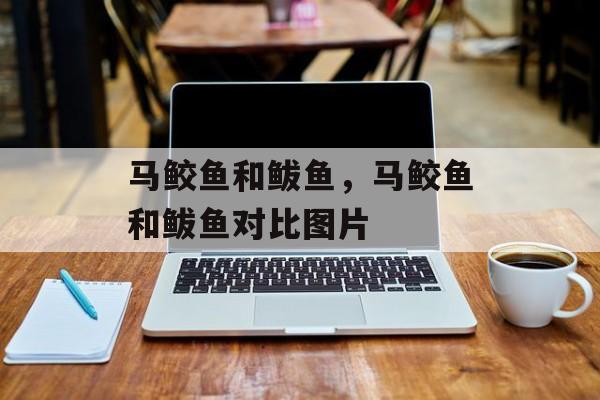 马鲛鱼和鲅鱼，马鲛鱼和鲅鱼对比图片-第1张图片-