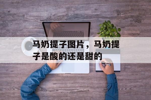马奶提子图片，马奶提子是酸的还是甜的-第1张图片-