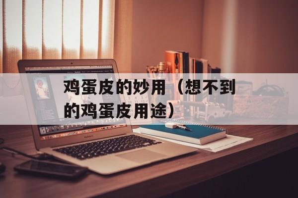 鸡蛋皮的妙用（想不到的鸡蛋皮用途）-第1张图片-