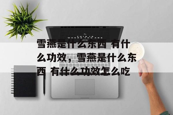雪燕是什么东西 有什么功效，雪燕是什么东西 有什么功效怎么吃-第1张图片-