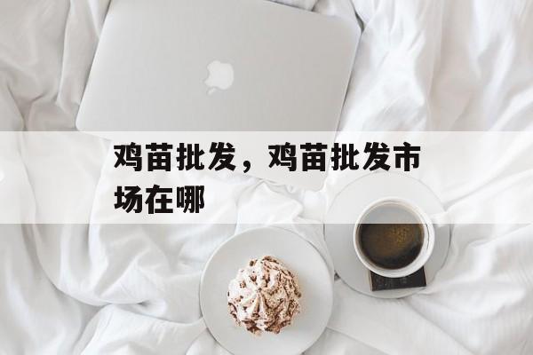鸡苗批发，鸡苗批发市场在哪-第1张图片-