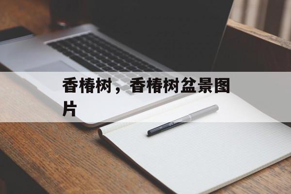 香椿树，香椿树盆景图片-第1张图片-
